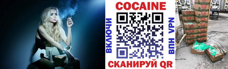 Купить Алейск Alpha-PVP  Меф мяу мяу  ГАШ  ссылка на мегу как войти  КОКАИН  Каннабис 