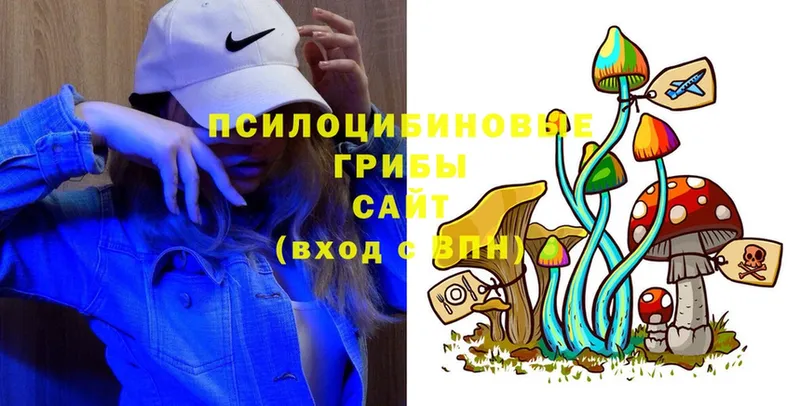 Магазины продажи наркотиков Алейск Cocaine ТГК ГАШИШ Мефедрон Псилоцибиновые грибы APVP kraken вход Амфетамин