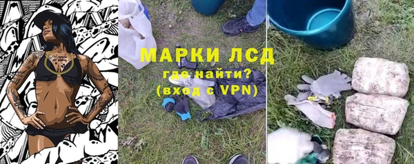 сатива Дмитров