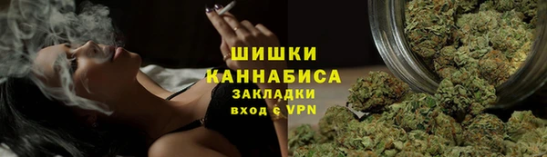 хмурый Корсаков