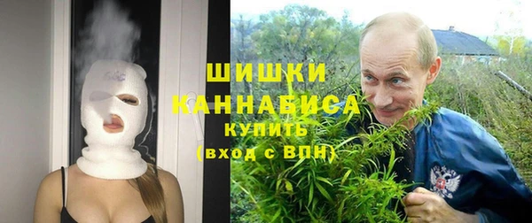 гашик Дмитровск