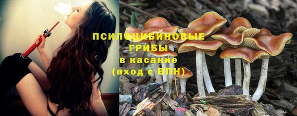 прущие крисы Костерёво