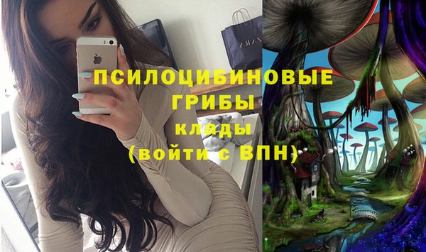 хмурый Корсаков