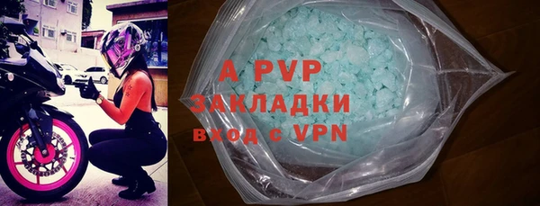 хмурый Корсаков