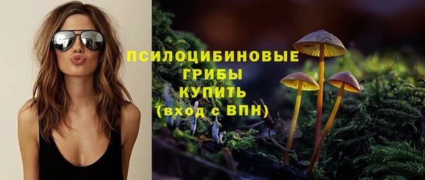 a pvp Щёлкино