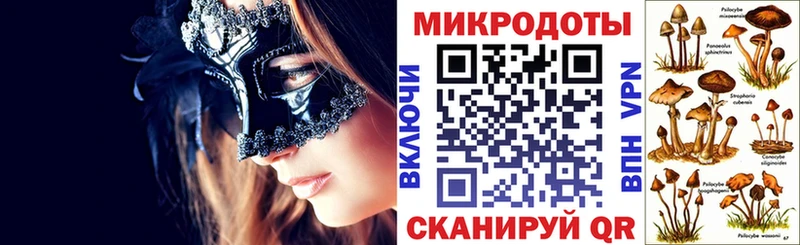 Галлюциногенные грибы Cubensis  ОМГ ОМГ сайт  Алейск 