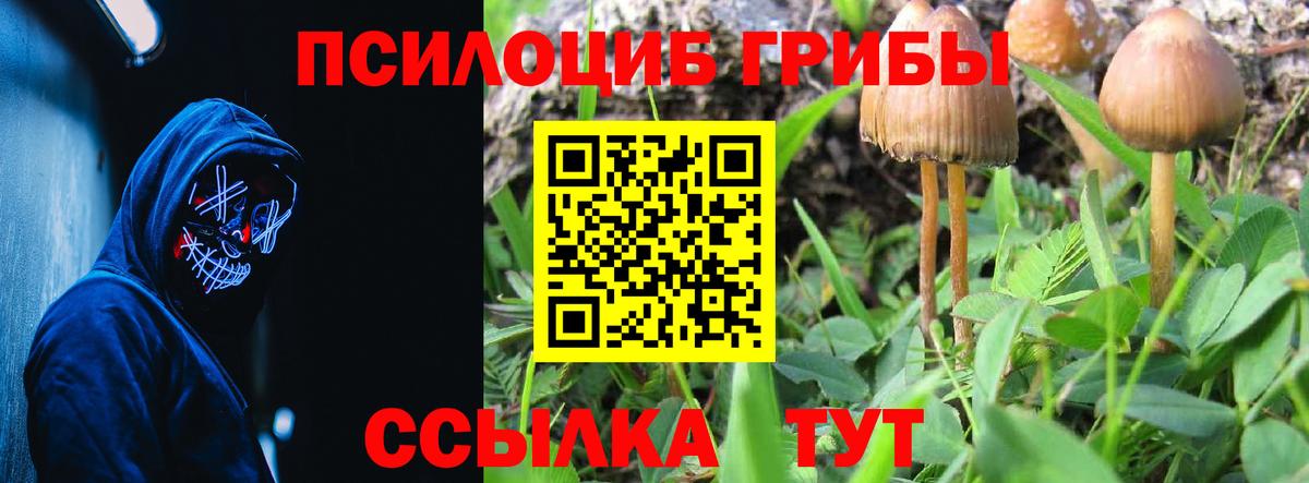Галлюциногенные грибы ЛСД  Вход с VPN  где найти наркотики  Алейск 