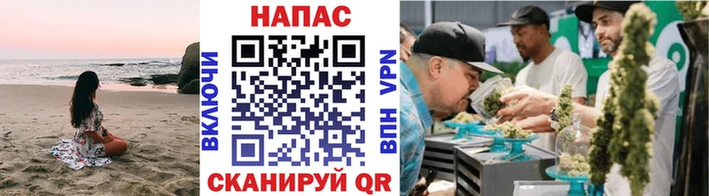 Бошки марихуана Amnesia  купить наркотик  Алейск 